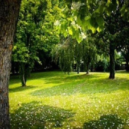 Villa Magnolie Corbetta Bagian luar foto